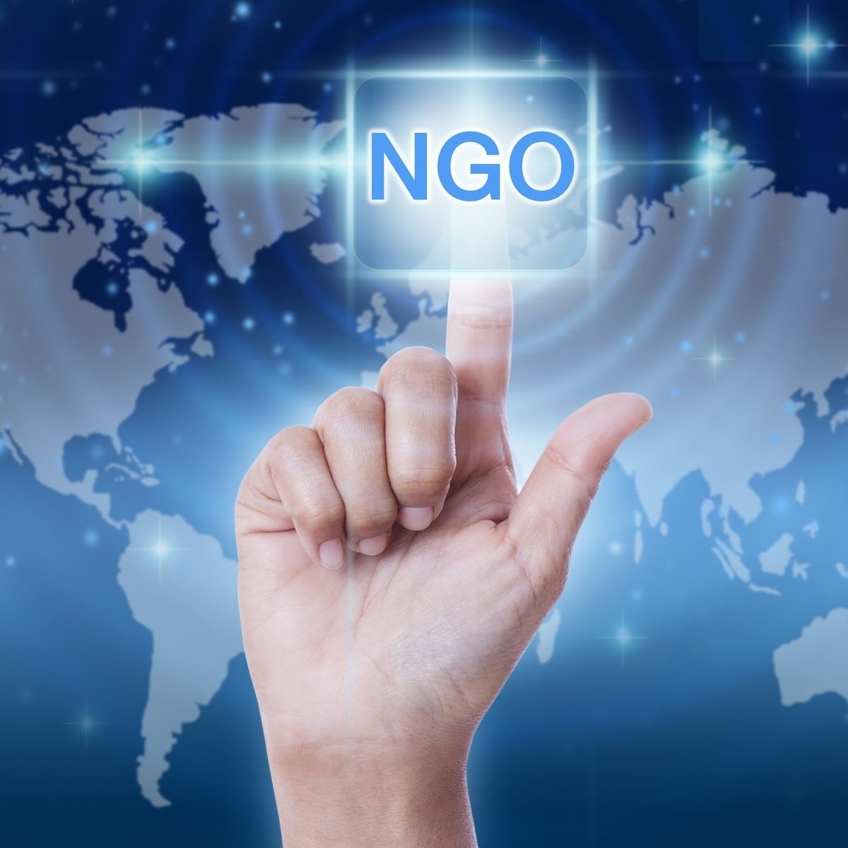 NGO services by BizLaws